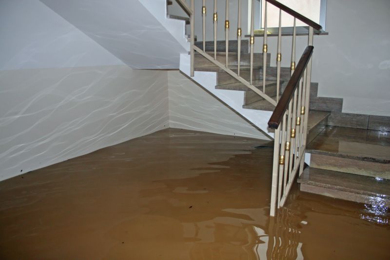 Basement Restoration Service in Scottsdale, AZ