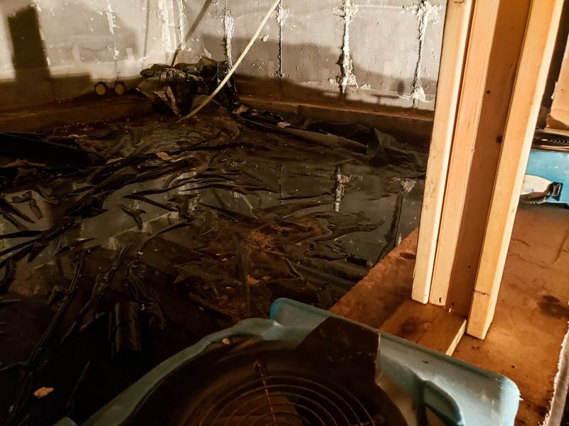 Basement Water Removal in Chandler, AZ