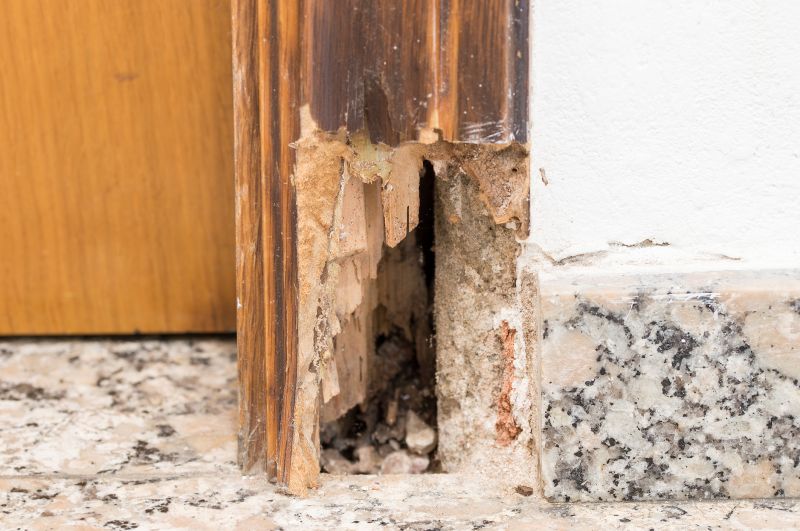 Wood Rot Repair Cost Guide — Cost of Wood Rot Repair
