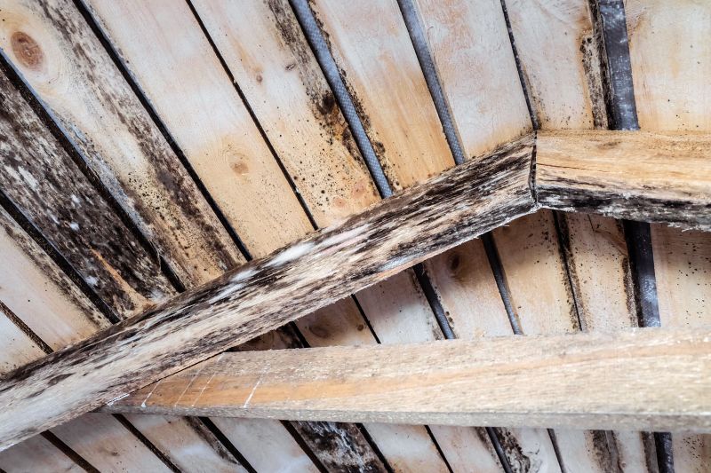 Wood Rot Repair Cost Guide — Cost of Wood Rot Repair