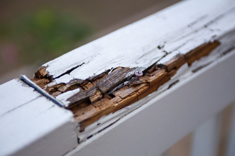 Decay Repair Service in Arvada, CO