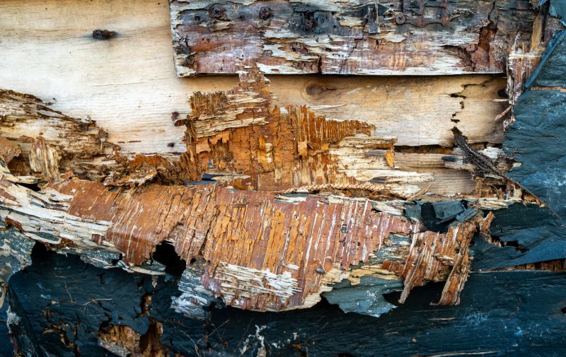 Decay Repair Service in Denver, CO