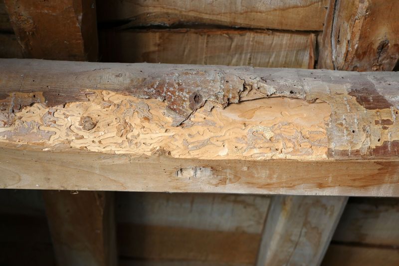 Decay Repair Service in Alpharetta, GA