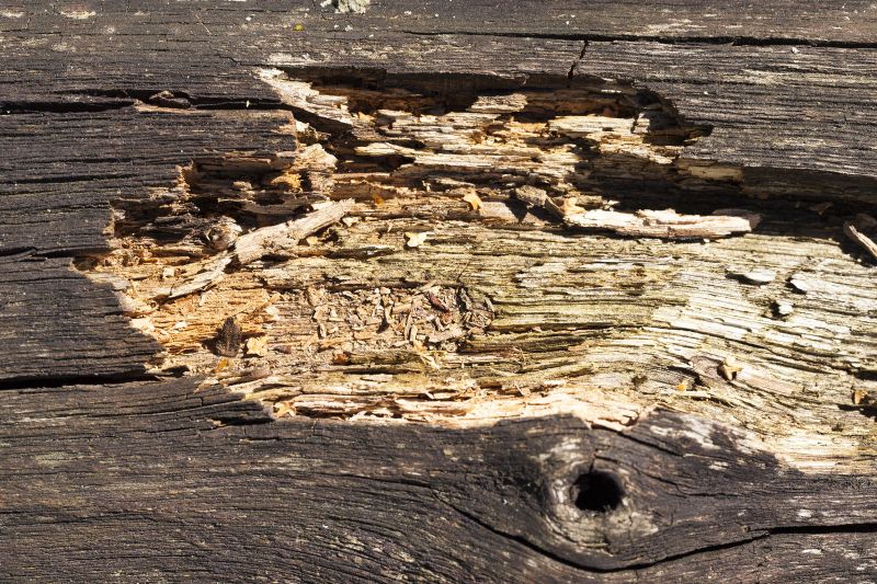 Decayed Wood Replacement in Kansas City, MO