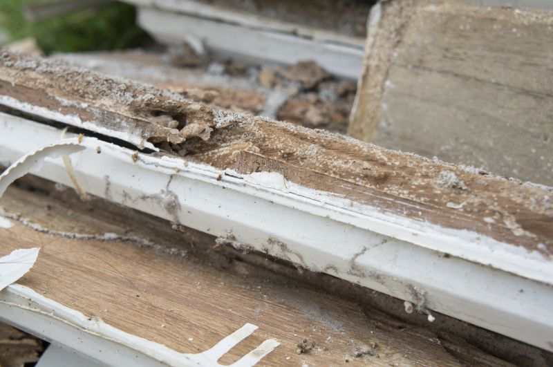 Dry Rot Remediation in Longmont, CO