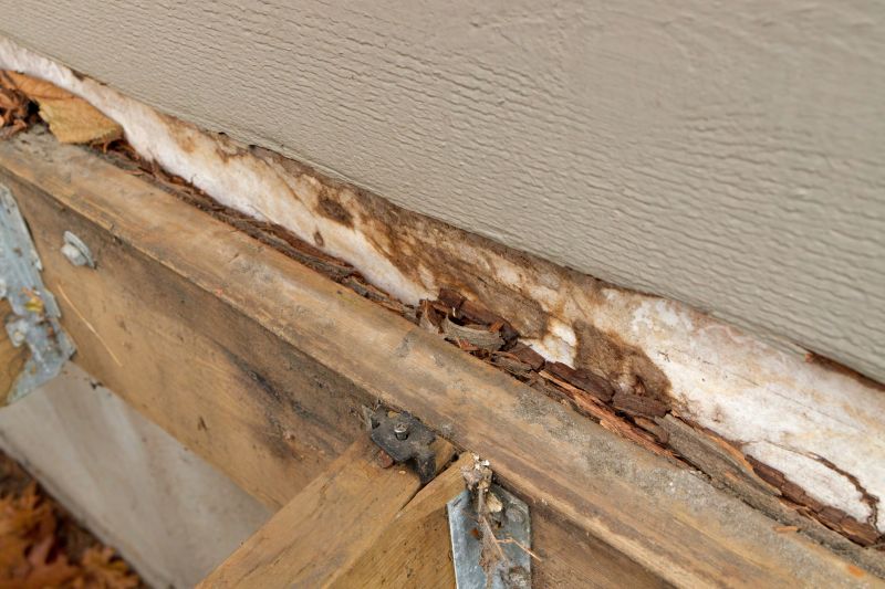 Dry Rot Repair in Olathe, KS
