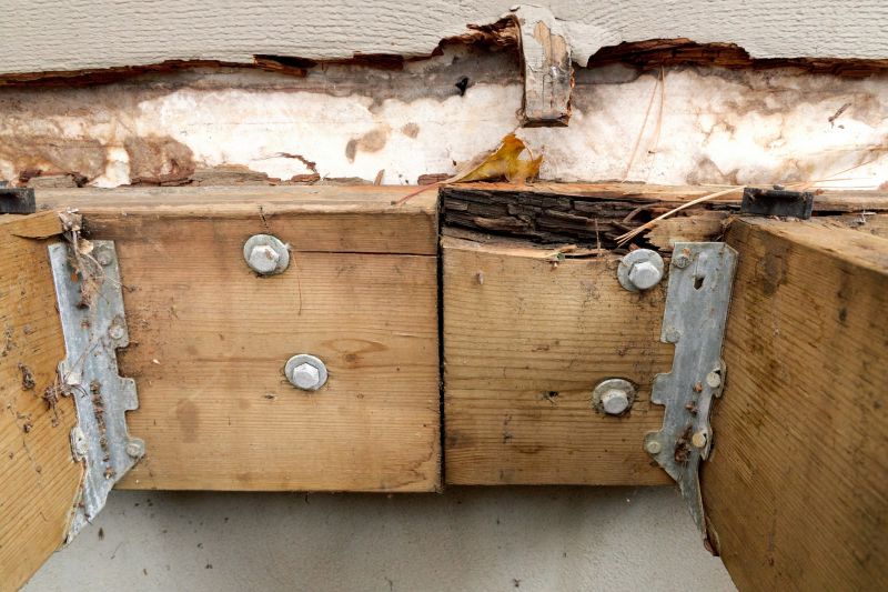 Dry Rot Repair in Overland Park, KS