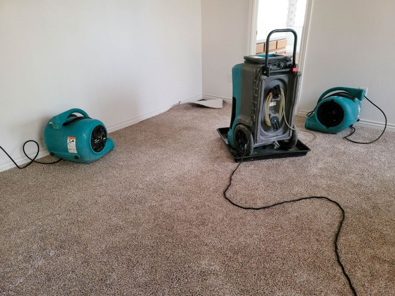 Flood Cleanup Service in Scottsdale, AZ