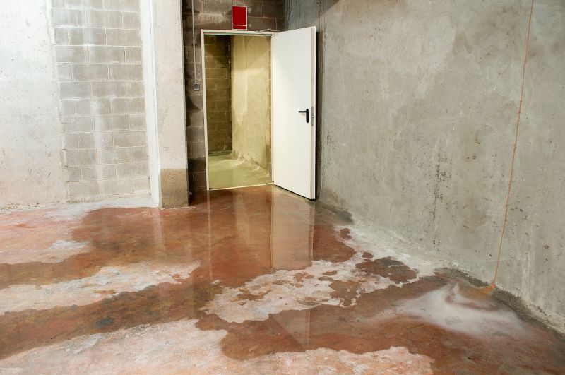 Flooded Basement Cleanup in Phoenix, AZ