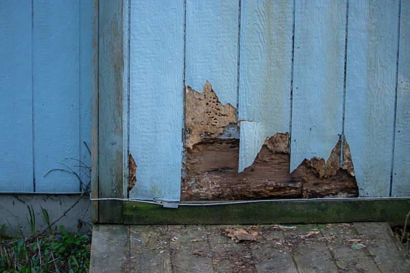 Pest Damage Repair in Wilmington, NC