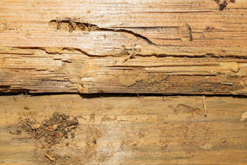 Rotten Wood Repair in Roswell, GA