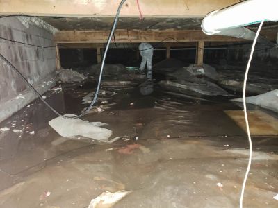 Storm Damage Cleanup in Gilbert, AZ