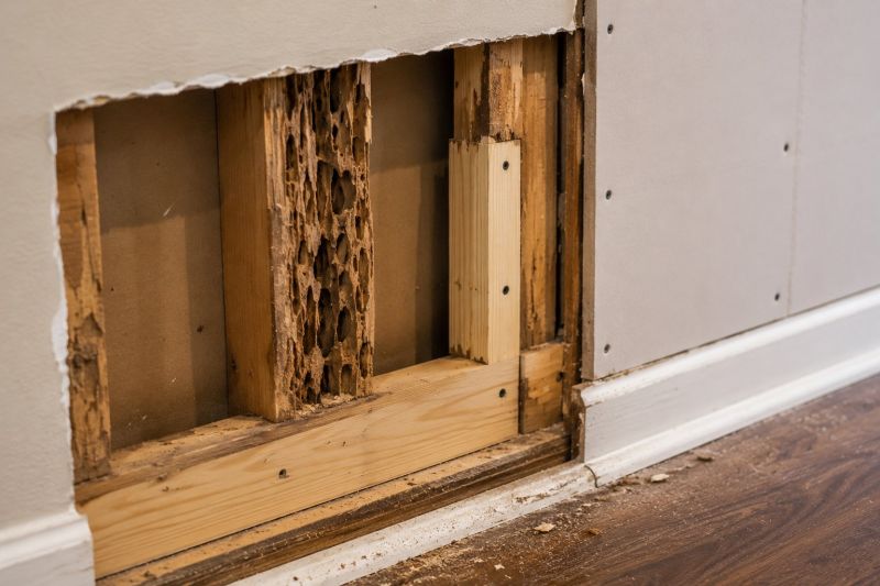 Termite Damage Repair Service in Longmont, CO