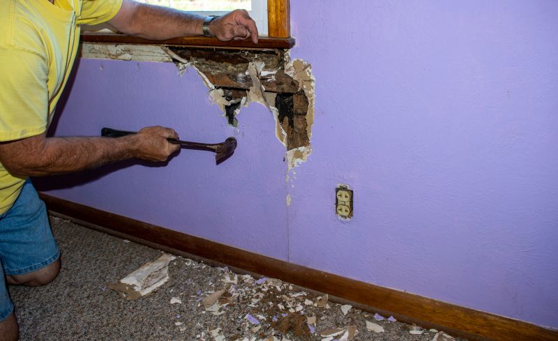 Termite Damage Repair Service in Kansas City, KS