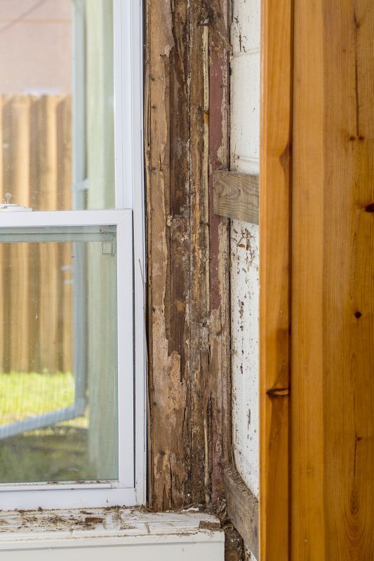 Termite Damage Restoration in Wilmington, NC