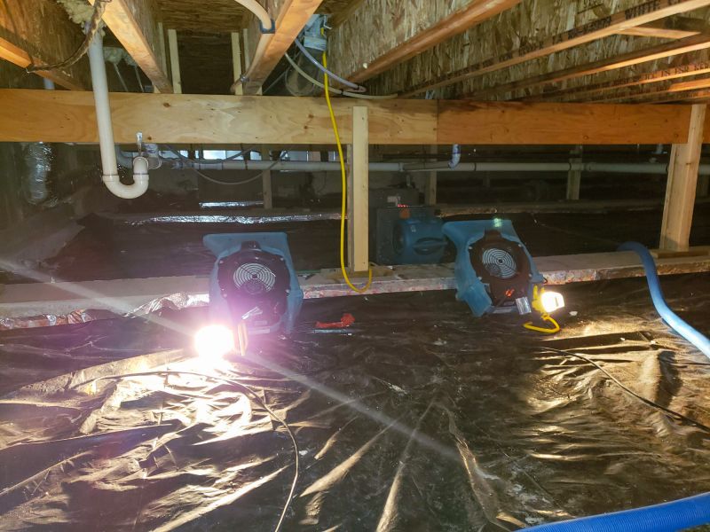 Water Removal Service in Gilbert, AZ