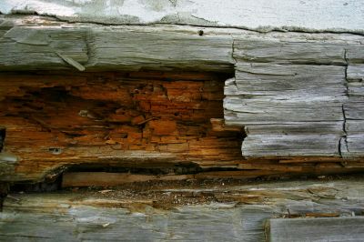 Wood Rot Inspection