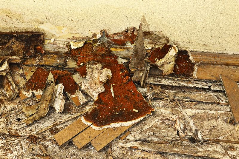 Wood Decay Repair in Longmont, CO