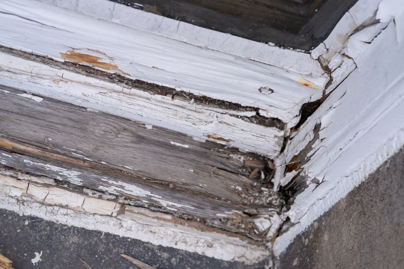 Wood Decay Repair in Conroe, TX