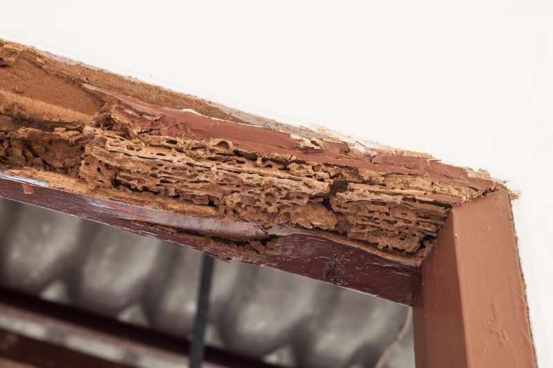 Wood Rot Repair in Arvada, CO