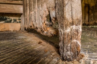 Mitigate Damage from the Wood Rot