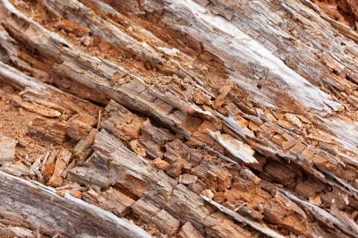 Wood Rot Reduces the Lifespan of the Wood