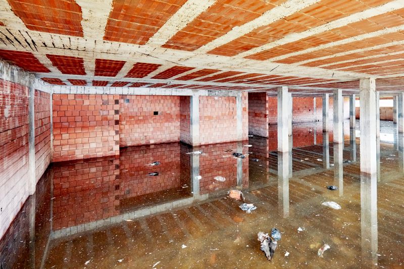 Basement Water Extraction in Mesa, AZ