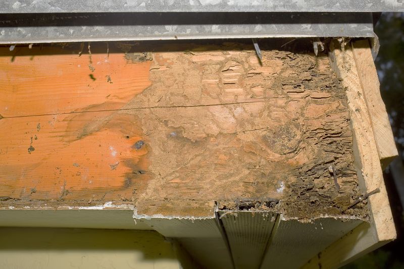 Dry Rot Repair in Overland Park, KS