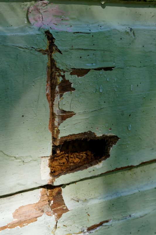 Wood Decay Repair in Arvada, CO