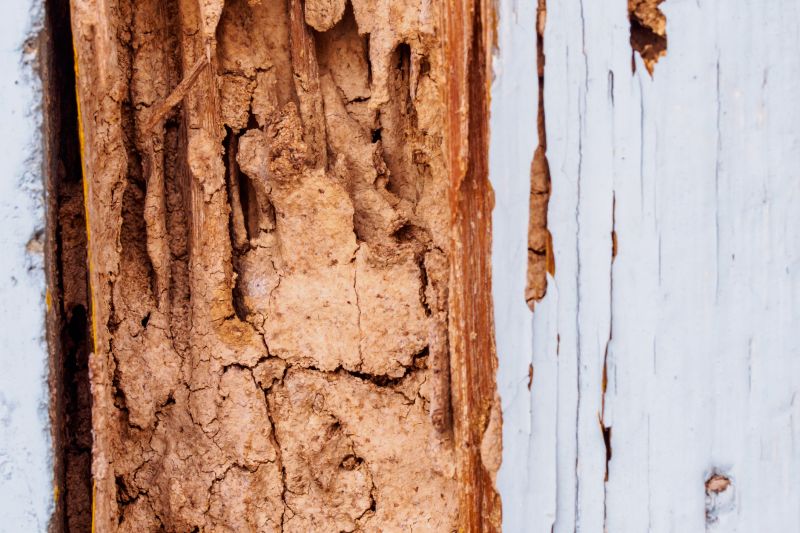 Wood Rot Repair in Littleton, CO