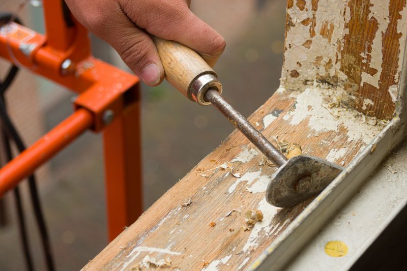 Wood Rot Repair Promotions